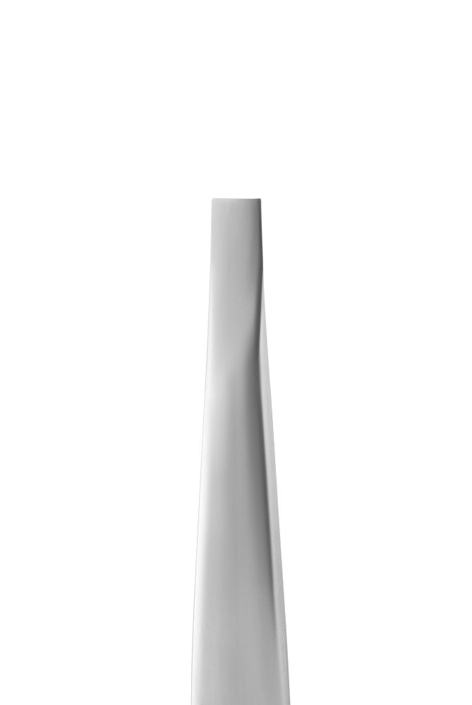 Eyebrow tweezers EXPERT 10 TYPE 1 (wide straight)- TE-10/1